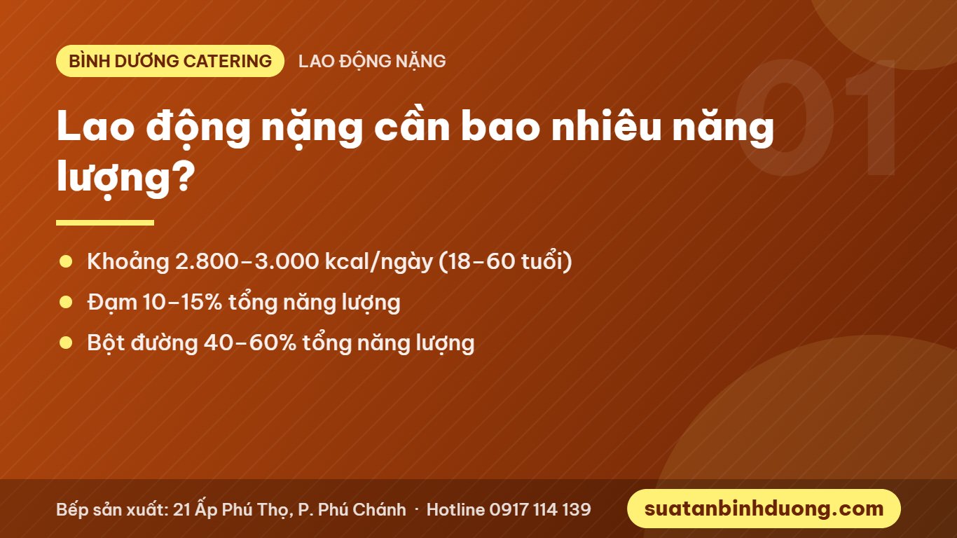Nhu cầu năng lượng của người lao động nặng mỗi ngày